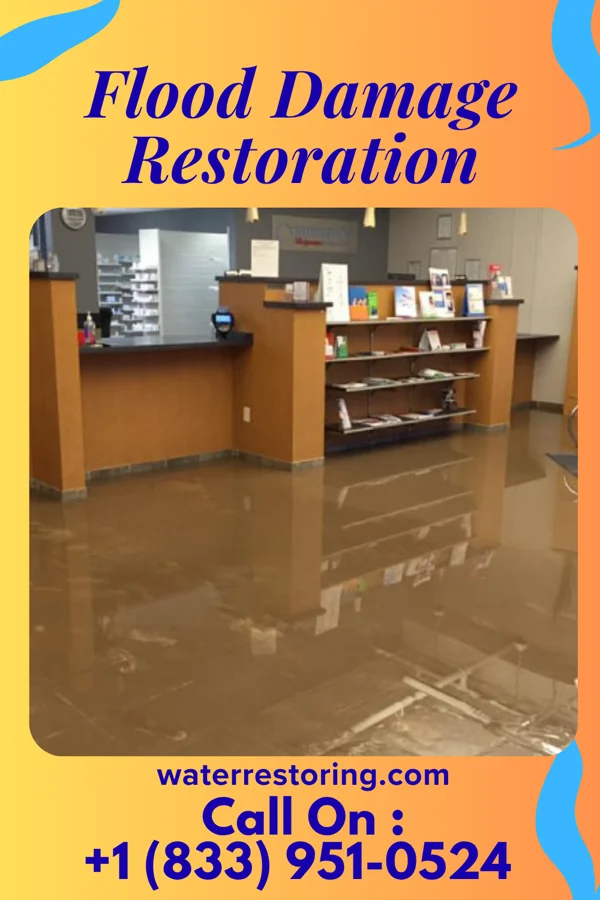 Flood Damage Restoration in Grissom AFB, IN
