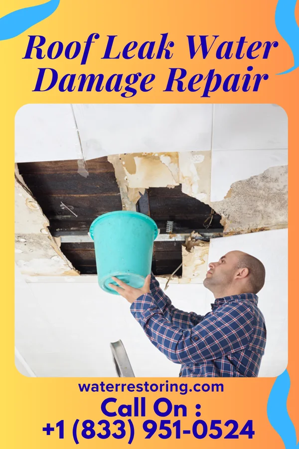 Roof Leak Water Damage Repair in Grissom AFB, IN