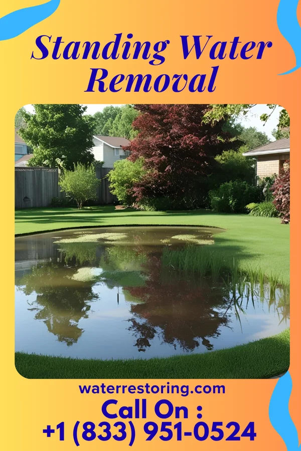 Standing Water Removal in Grissom AFB, IN